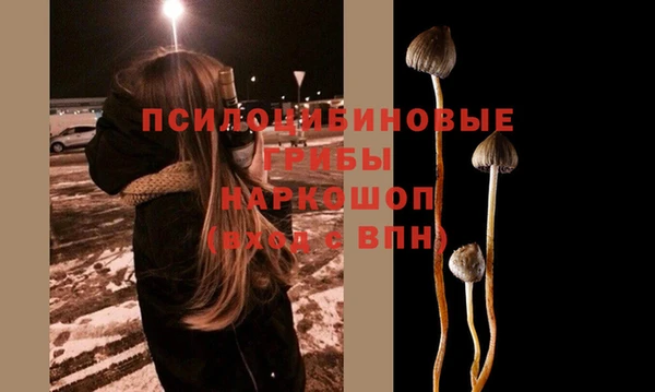 ешки Няндома