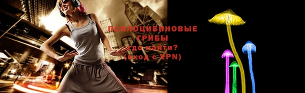 ГАЛЛЮЦИНОГЕННЫЕ ГРИБЫ Нягань