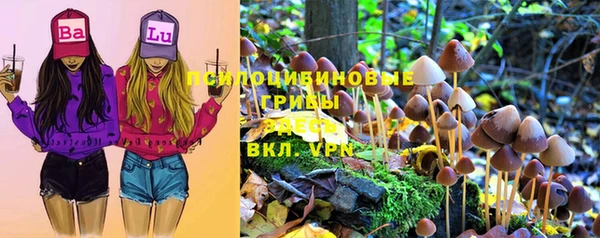 экстази Нязепетровск
