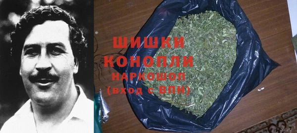 ешки Няндома