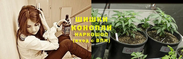 ешки Няндома