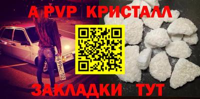 тгк Бийск