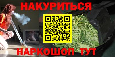 тгк Бийск