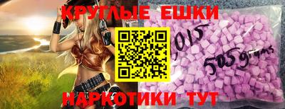тгк Бийск