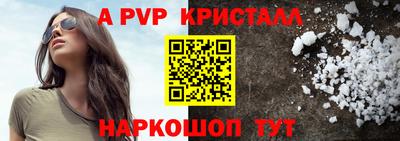 тгк Бийск