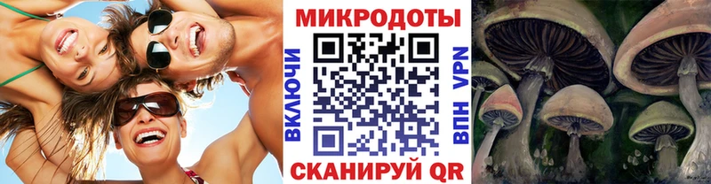 Псилоцибиновые грибы мицелий Улан-Удэ